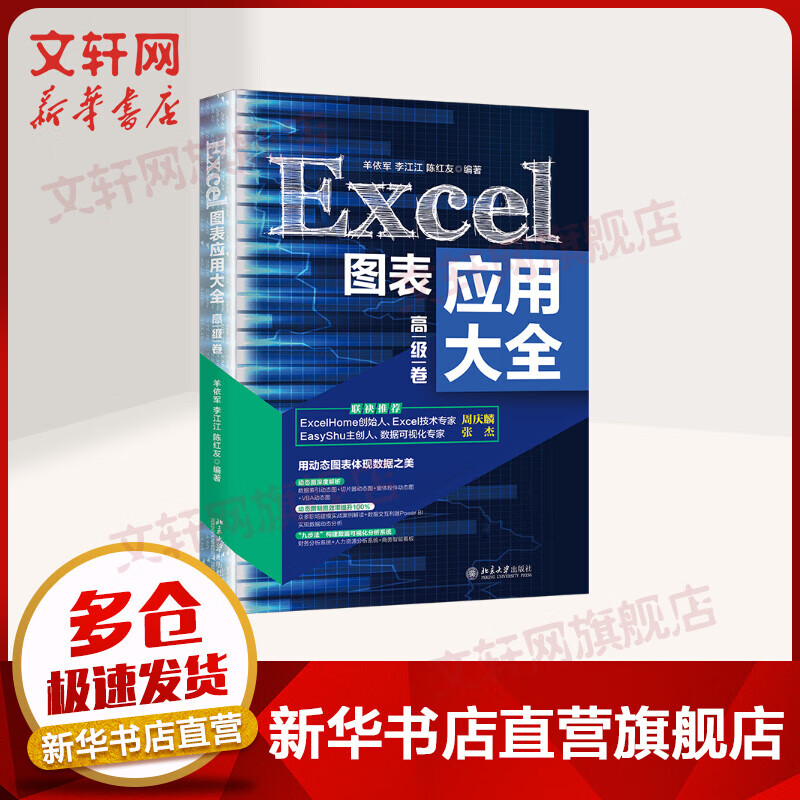 Excel图表应用大全 高级卷