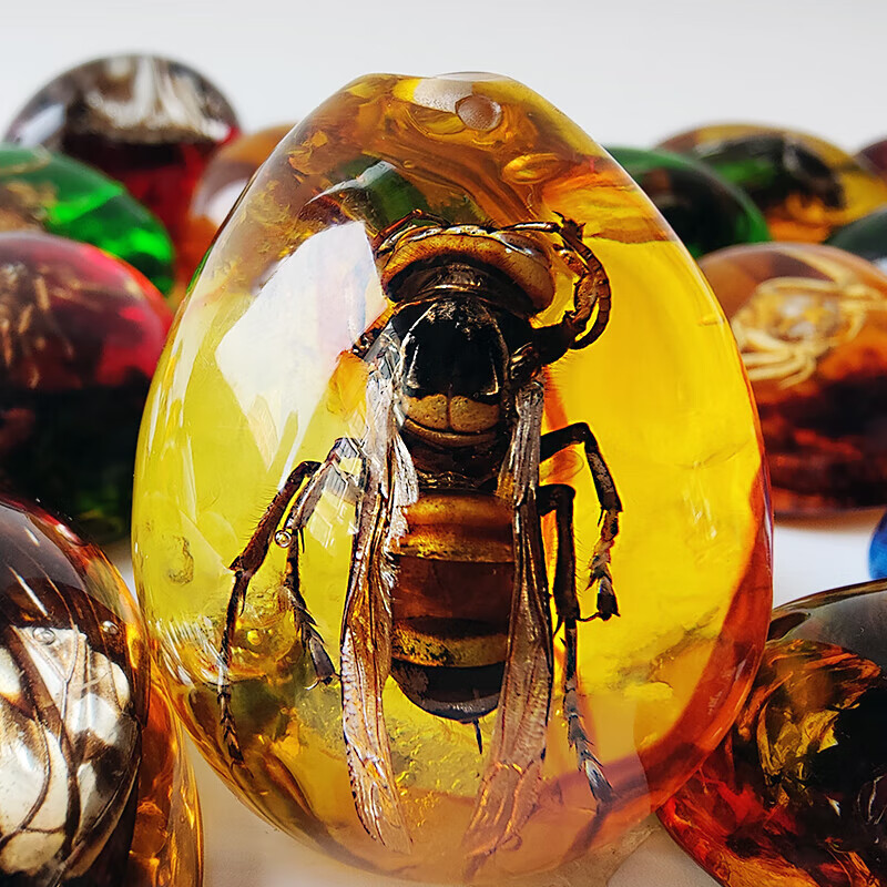 侨沁人工琥珀吊坠黄蜂昆虫标本虫珀项链带虫子挂件手工制作儿童科普