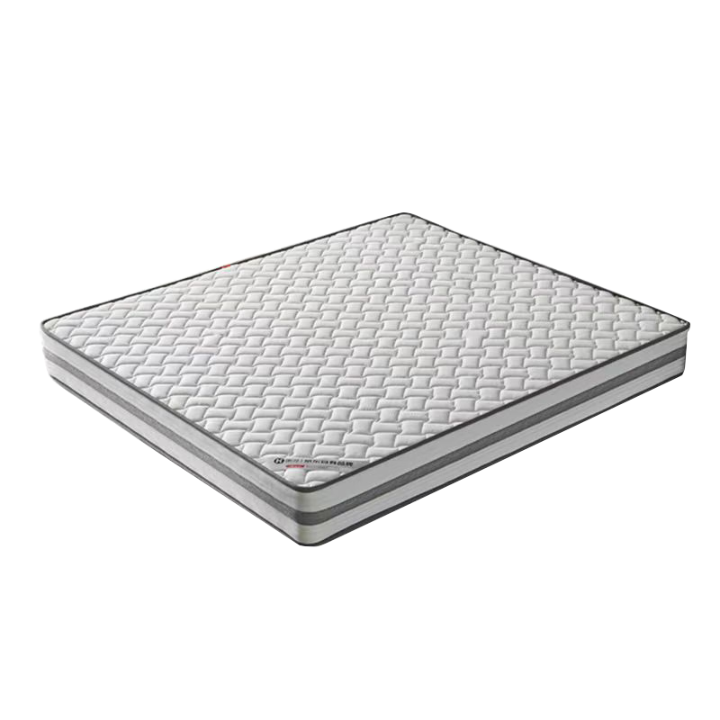 ���ڲ�������Ѱ ��������Ʒ��ϯ��˼������Ȼ�齺�������Ӳ����1.8*2��22cm��