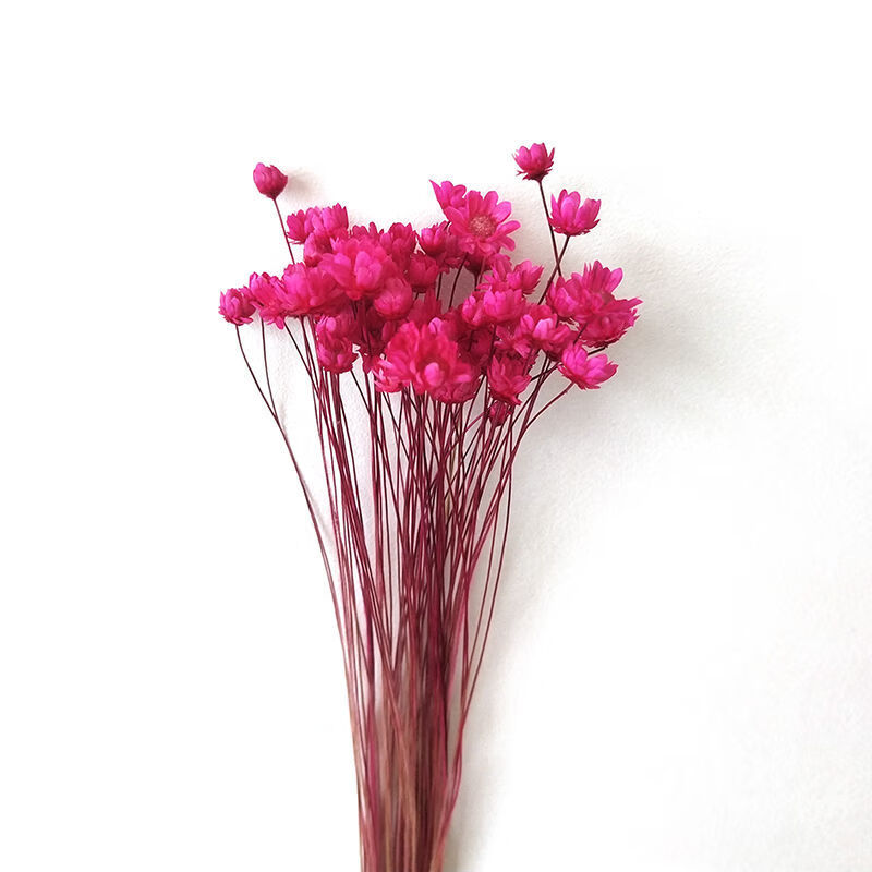 芊阙*轻奢芊阙天星菊清新小雏菊干花家居装饰花艺术干树枝小星花迷你