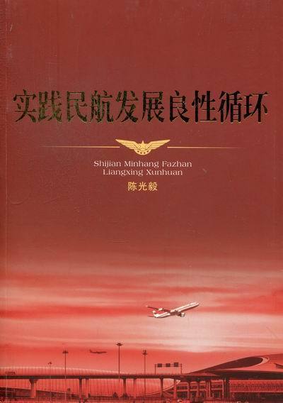 实践民航发展良性循环 陈光毅