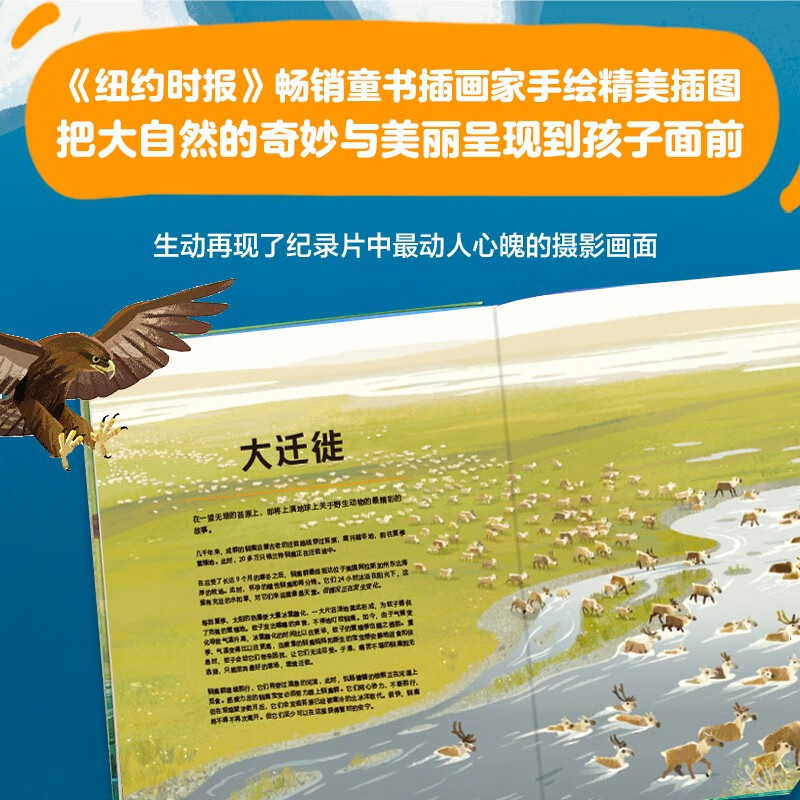 BBC星球系列（3本套）为6-12岁孩子联袂打造的科普绘本系列