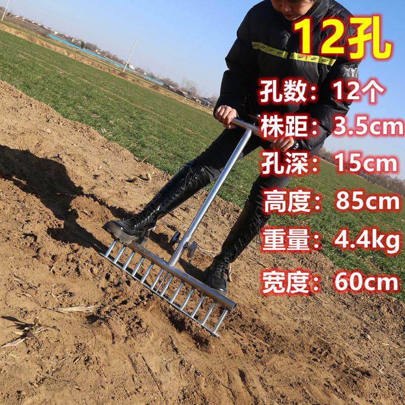 婕茵桐双排栽葱插葱神器葱叉子扎眼打孔神器大葱寒葱洋葱种菜移栽移苗