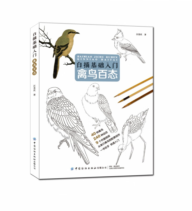 白描基础入门(禽鸟百态)