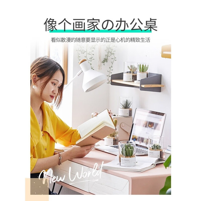 绿荫巷子多肉植物类绿植盆栽肉肉办公室内仙人掌球桌面带盆好养活小盆景【雅乐之舞】+大号玻璃杯土砂主图1