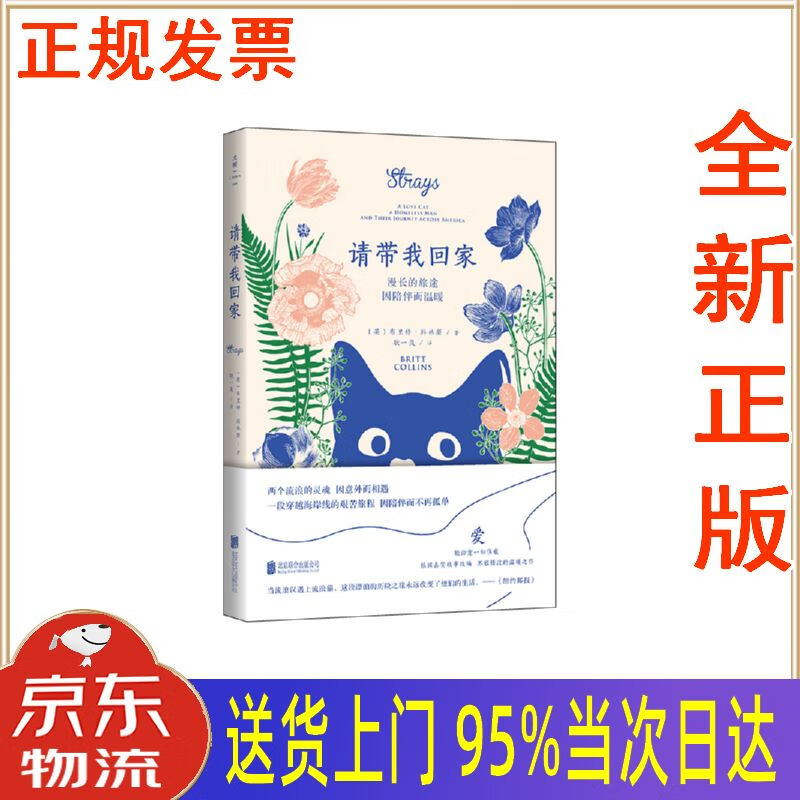 【新华正版 全新书籍】请带我回家 布里特·科林斯 北京联合出版公司