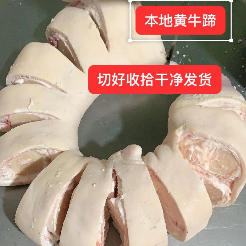 生黄牛牛蹄带骨带筋带肉新鲜牛爪子牛脚牛手 6斤 断骨