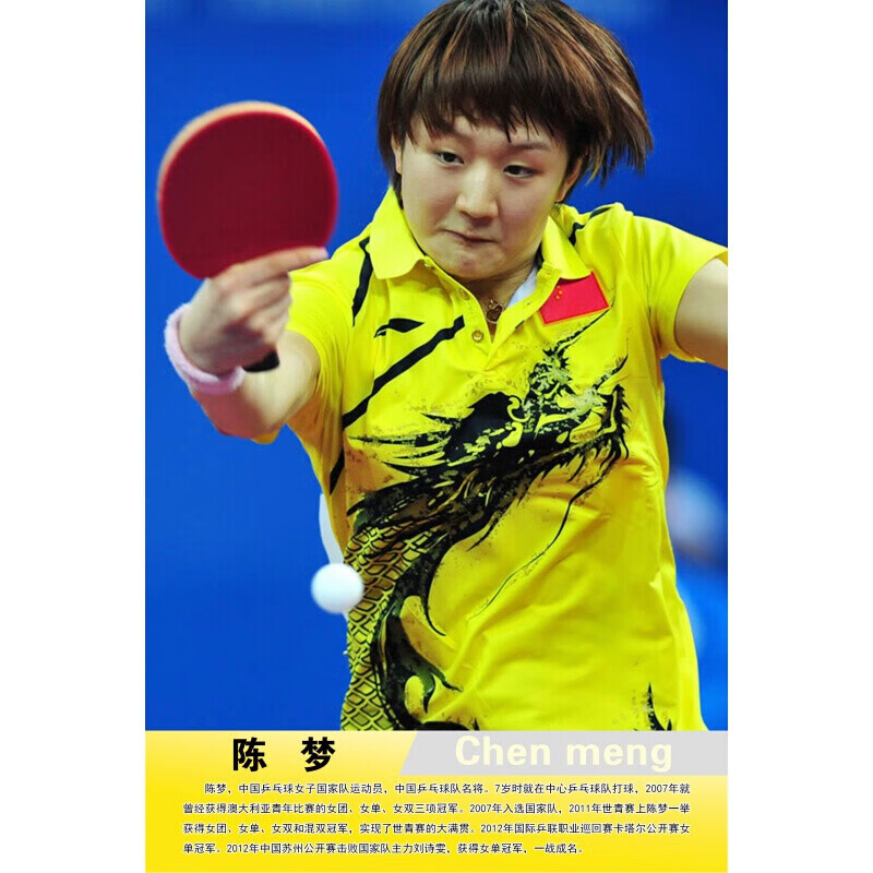 运动员球室海报体育张继科刘诗雯孙颖莎墙贴纸贴画挂画 浅灰色 1陈梦