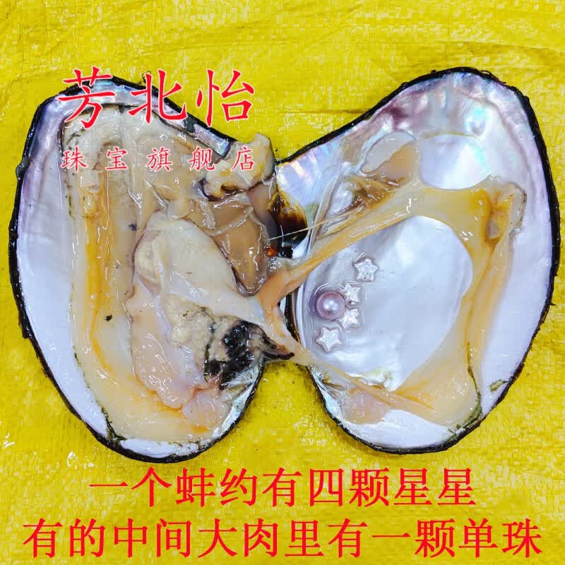 芳北怡天然淡水梅花金条五角星星方块爱心异形巴洛克鲜活珍珠蚌壳自己开 1个星星+单珠蚌 约有四五颗珍珠属于什么档次？