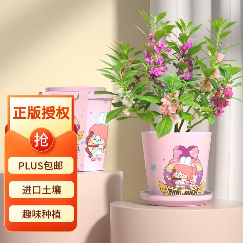 京东的科学盒子实验套装历史价格在哪看|科学盒子实验套装价格比较