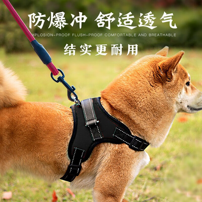 良心说说磊嘉狗绳体验反馈优缺点，优缺点曝光分析