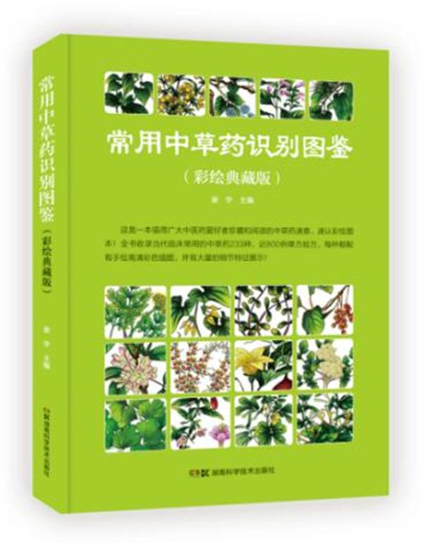 常用中药识别图鉴(彩绘典藏版)