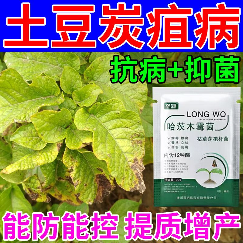 垄颖马铃薯炭疽病土豆早晚疫病病毒病急救干腐病软腐病枯斑水溶叶面肥