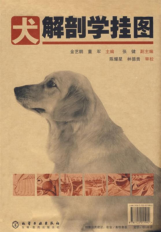 犬解剖学挂图【稀缺图书,放心购买】