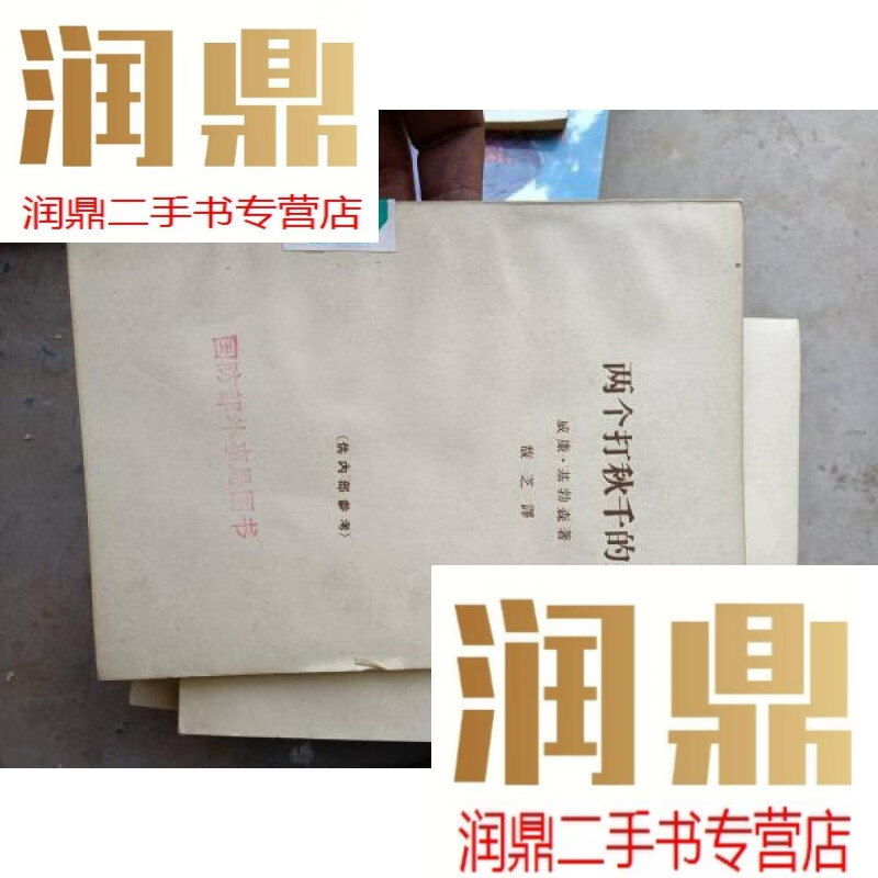 【二手九成新】两个打秋千的人