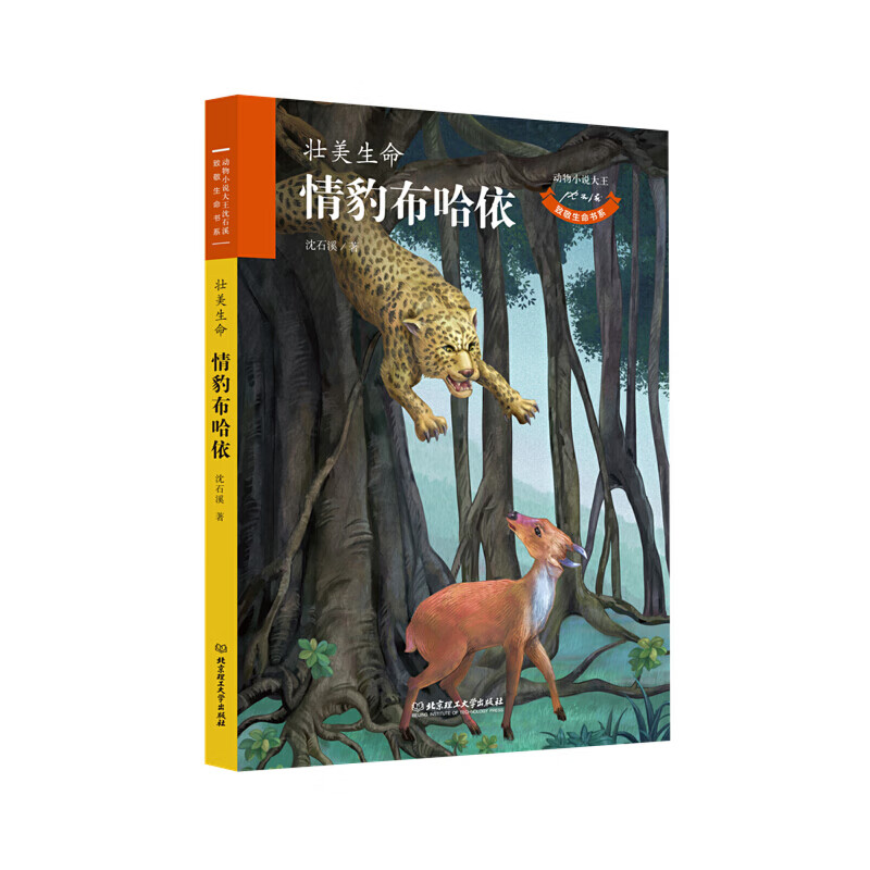 二手动物小说大王沈石溪致敬生命书系――情豹布哈依 沈石溪 9787