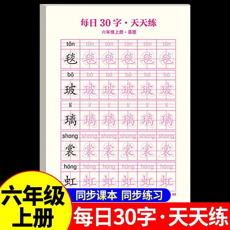 每日30字六年级字帖练字上册语文同步练字帖小学生专用四人教版钢笔