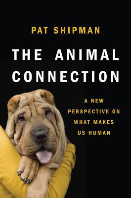 预订the animal connection: a new perspective on what makes us