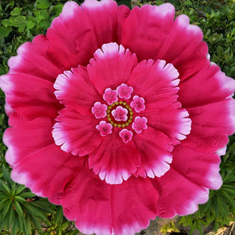 方若二人转手绢新款牡丹大花瓣东北秧歌棉布舞蹈手绢花八角巾大红色枚