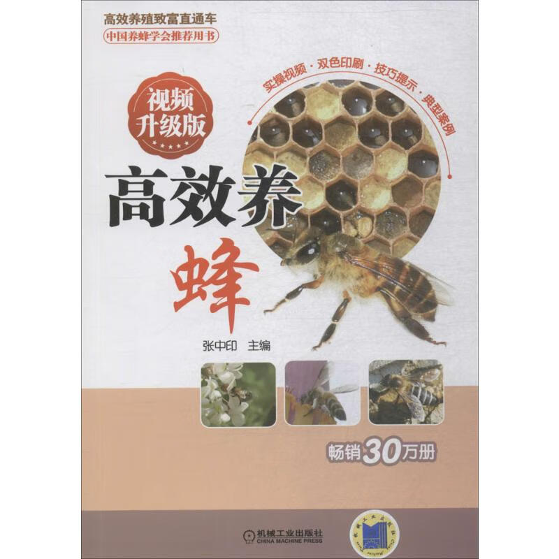 高效养蜂(视频升级版)