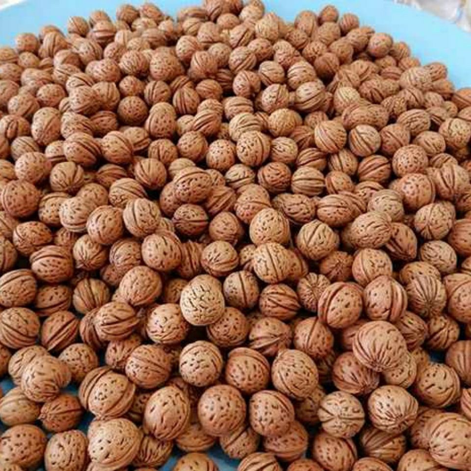 【网红款】野生山桃核小桃核手串料核桃纯手工剥皮散称桃胡盘红打孔