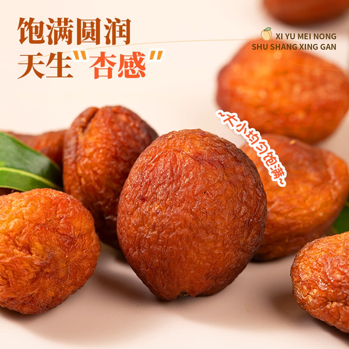 西域美农新疆树上杏干200g/袋特产果干蜜饯杏仁可吃 新疆树上杏干200g*3袋