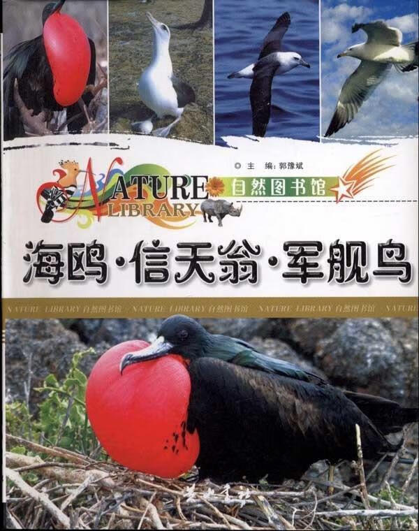 自然图书馆:海鸥·信天翁·军舰鸟 郭豫斌 编【正版书】