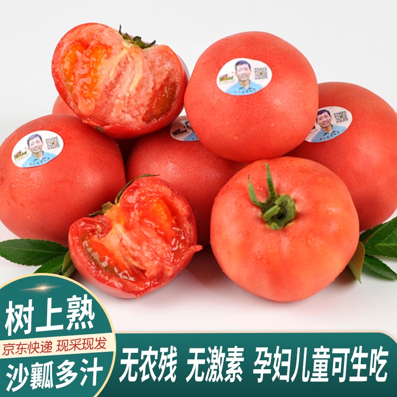 查在线茄果瓜类商品历史价格|茄果瓜类价格走势图