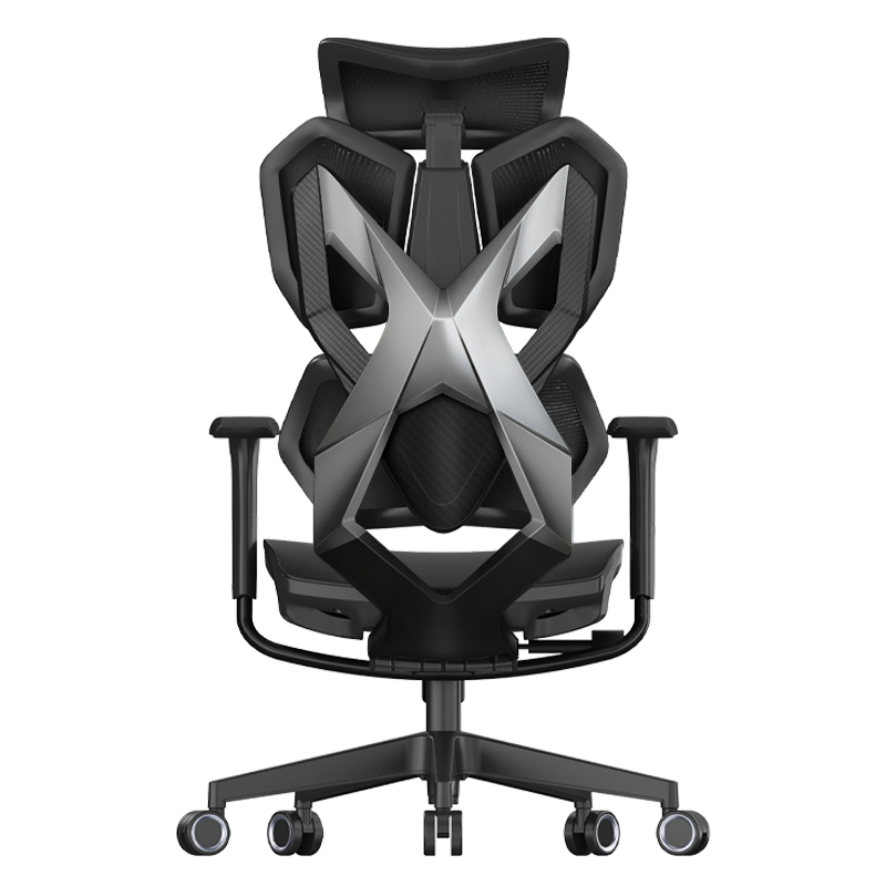 ����X5���幤ѧ����Ϸ�����μ��ð칫ѧ�����Ҳ����羺�ξ��� 998.75Ԫ(������)