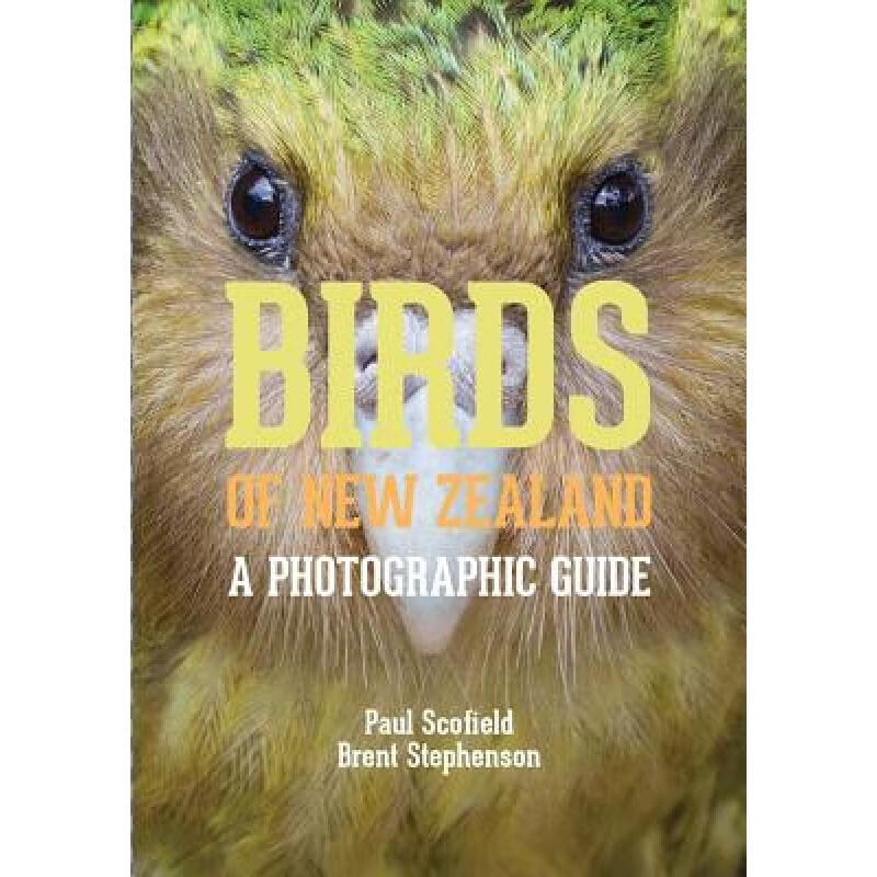预订 Birds of New Zealand: A Photographic Guide