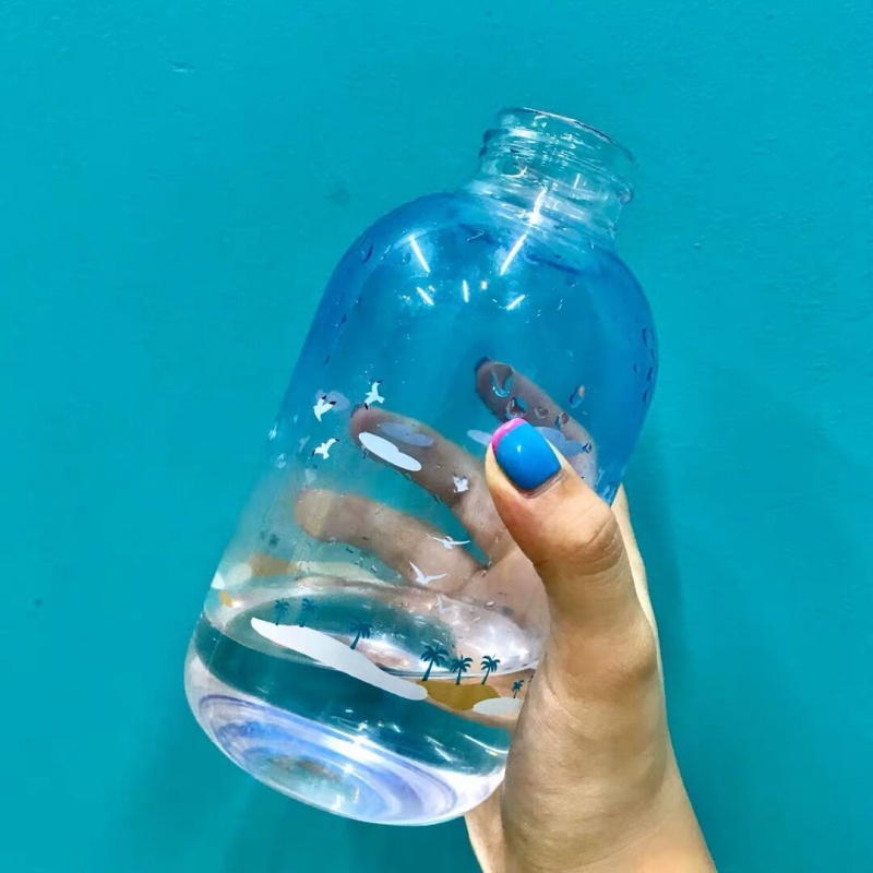 韩版水杯玻璃杯大容量水瓶便携杯子女学生随手杯创意可爱带盖茶杯 海鸥