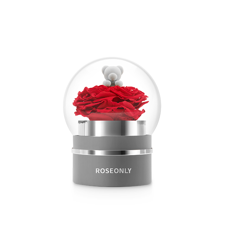 Roseonly 诺誓 甜心熊永生玫瑰花音乐球生日送女朋友结婚纪念日七夕情人节礼物甜心熊音乐球 虎窝购
