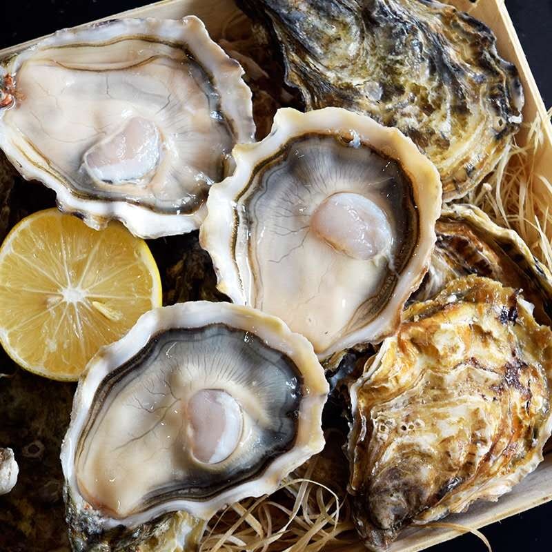 蠔门 法国进口生蚝 皇御生蚝鲜活 生鲜贝类新鲜牡蛎 刺身级海蛎子n1级