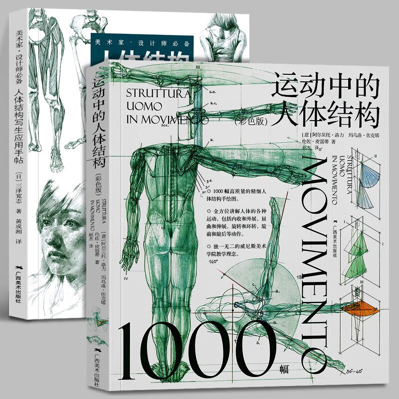 (彩色版)理解人体形态/初学者艺用人体结构临摹人物技法基础教程运动