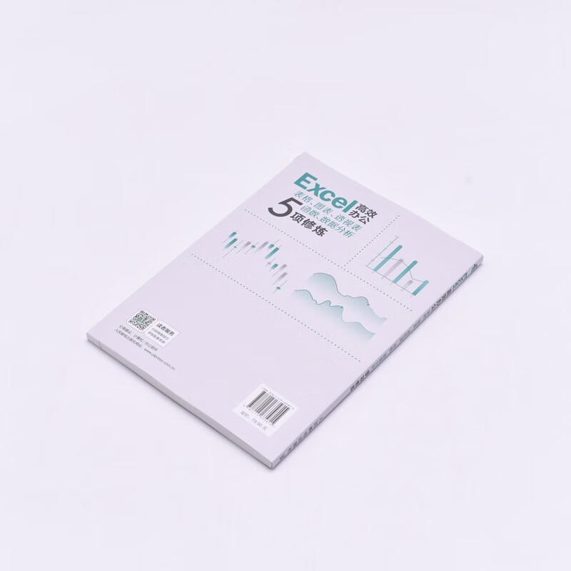 Excel高效办公——表格、图表、透视表、函数、数据分析5项修炼（异步图书出品）