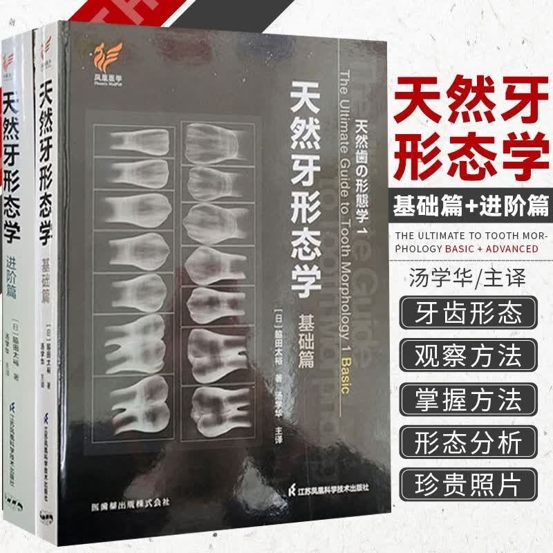 天然牙形态学基础篇+进阶篇