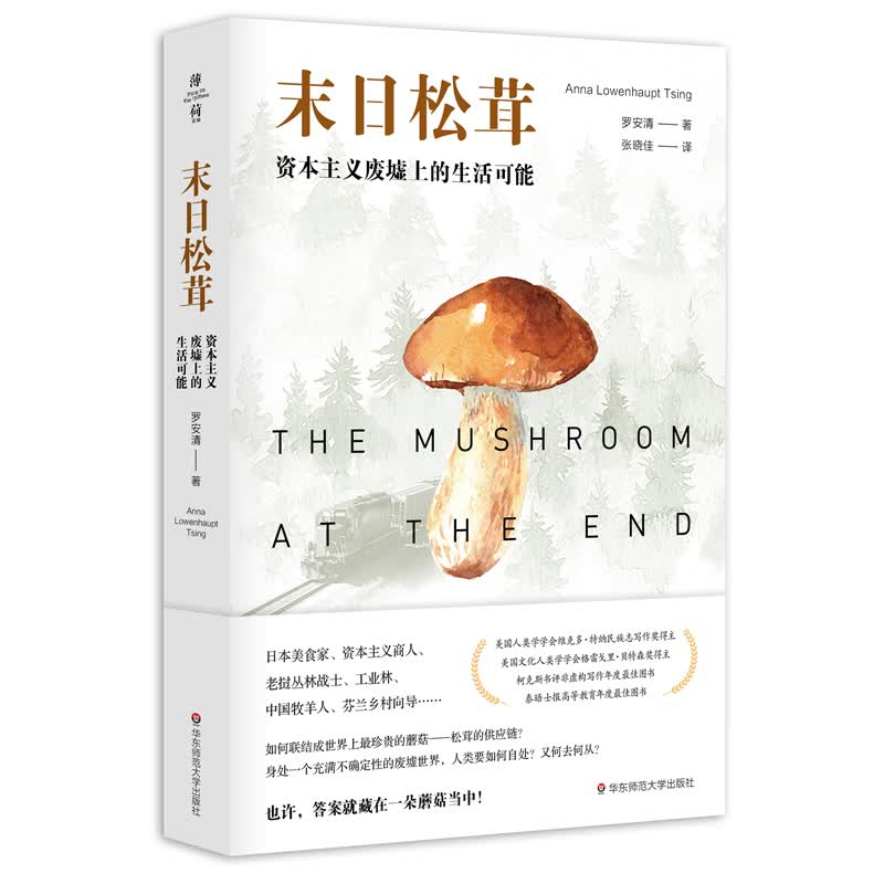 双十一图书上新，10本新知新书推荐