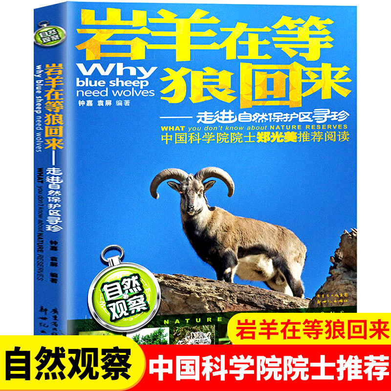 岩羊在等狼回来 自然观察笔记少儿揭秘动物科普大百科推荐幼儿园自然