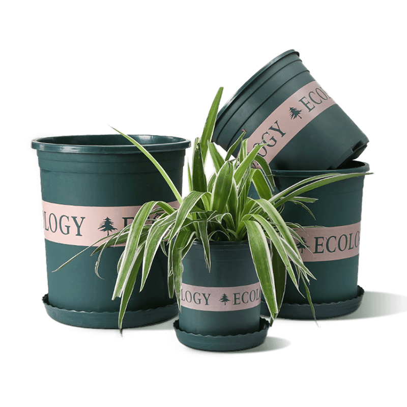 ��ǧ�� ���ػ��� 5���ء�������