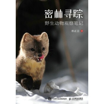 现货正版:密林寻踪——野生动物观察笔记9787115544780人民邮电出版社