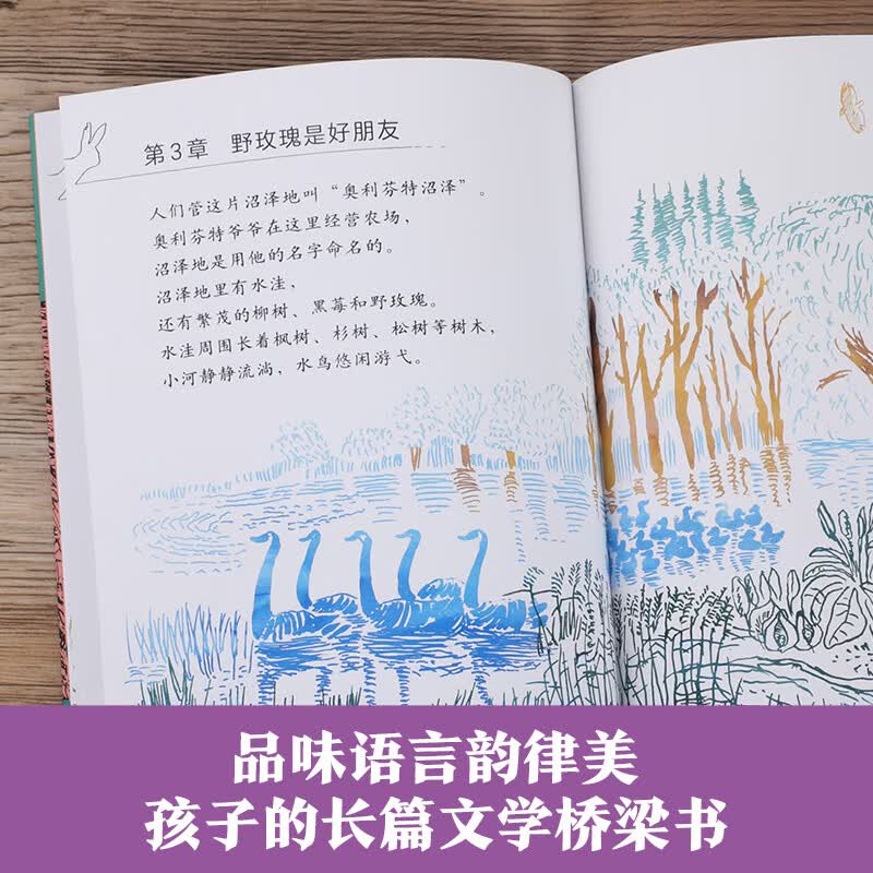 乐乐趣 儿屿-阿部弘士编绘版西顿动物故事 (全5册)点读版 儿童文学6-12岁小学生写作能力培养 桥梁书 经典儿童文学读物 性格品质培养 阿部弘士编绘版西顿动物故事(5册)