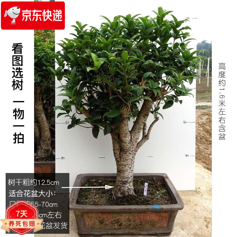 苏艺缘 品牌报价图片优惠券 苏艺缘品牌优惠商品大全潜力降序 虎窝购 苏艺缘 品牌报价图片优惠券 苏艺缘品牌优惠商品大全潜力降序 虎窝购