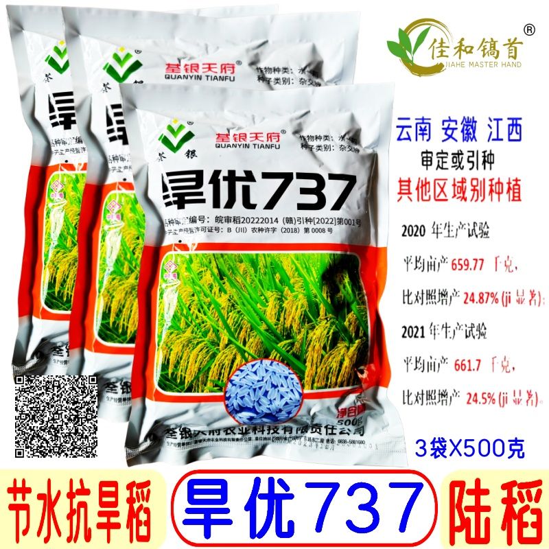 旱优737旱稻种子杂交稻天府旱种直播稻矮杆早熟抗旱高产500克 3袋种子