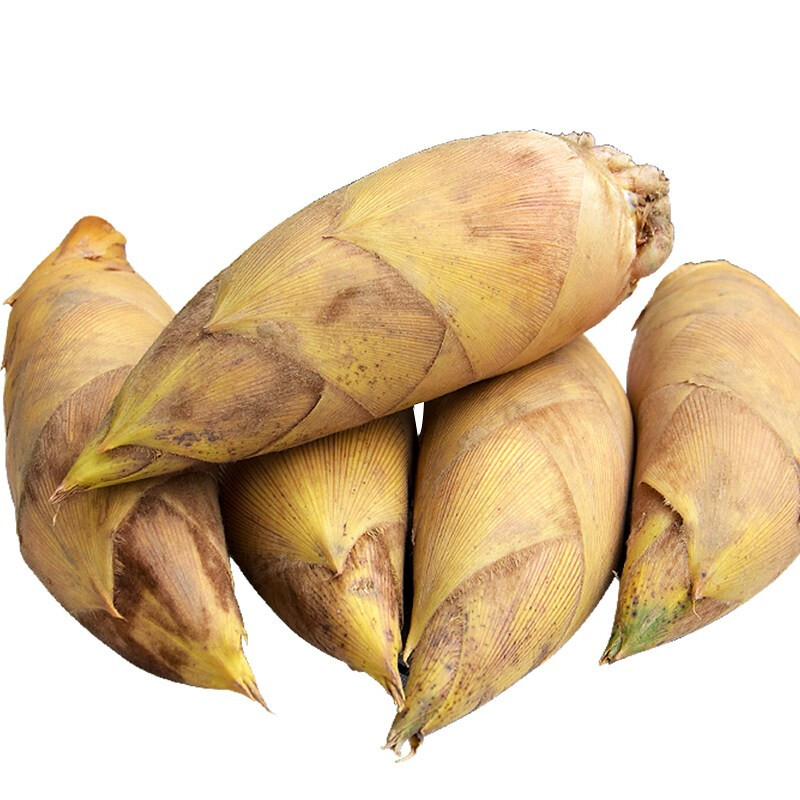 伯贤 新鲜黄泥拱冬笋2.5斤 现挖毛竹笋手剥笋子蔬菜脆嫩 2.5斤