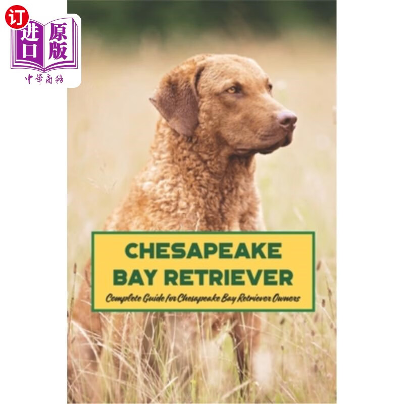 海外直订chesapeake bay retriever: complete guide for chesapeake