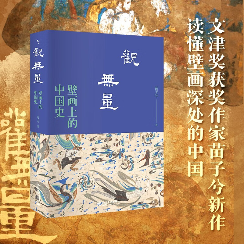 观无量：壁画上的中国史 文津奖获奖作家、北大历史系才女苗子兮“壁画上的中国史”系列