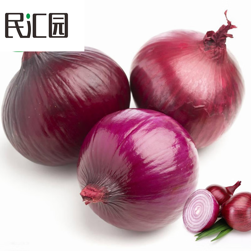 民汇园 红宝石洋葱种子 甜辣红皮圆葱肉白色 品质细嫩适应性广10克/袋