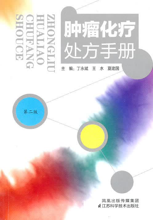 肿瘤化疗处方手册(二版)【正版图书】