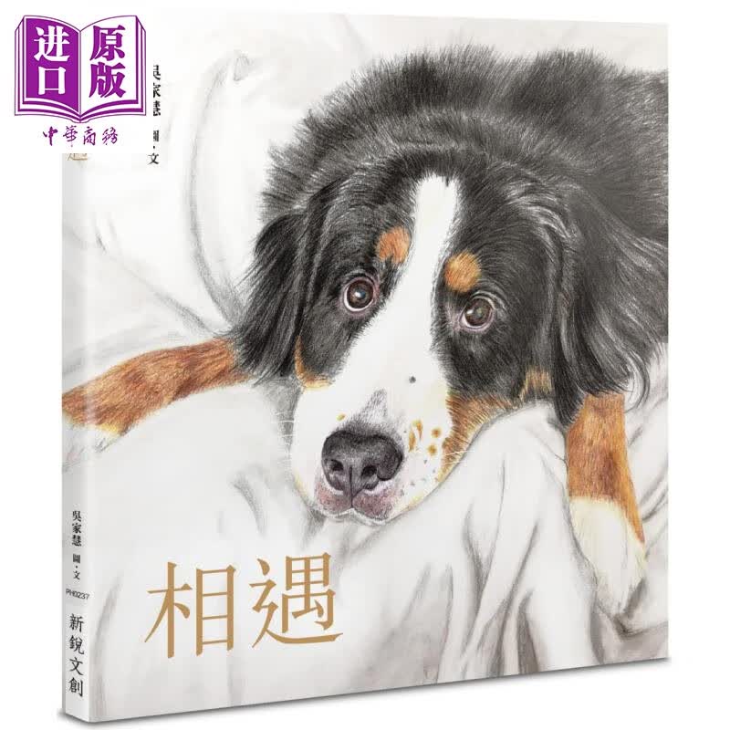 相遇 港台原版 吴家慧 新锐文创 画册/绘画集