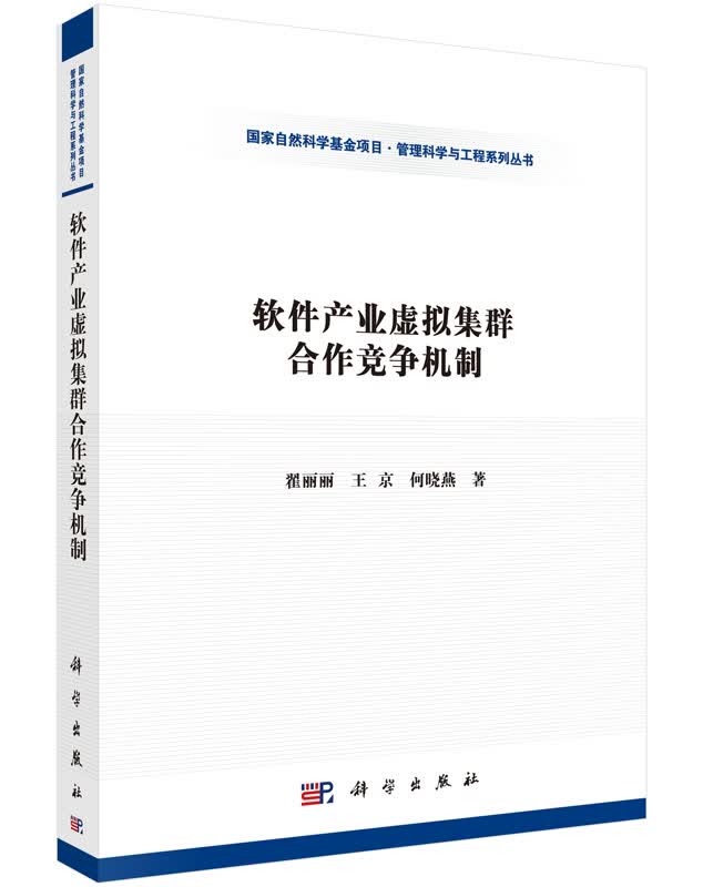 软件产业虚拟集群合作竞争机制
